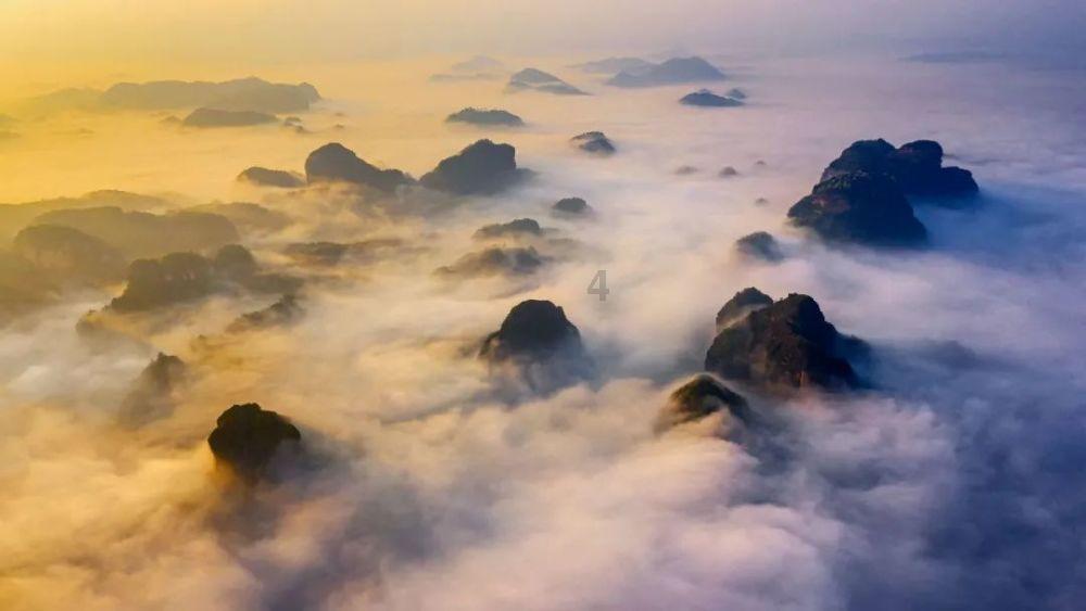 厉害了我的巧虎6